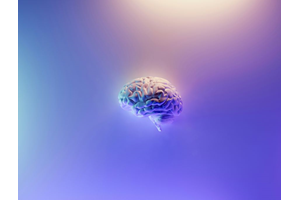 DNA van embryonale brein geeft inzicht in psychiatrische aandoeningen