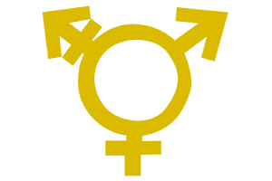 Bescherm transgenders expliciet tegen discriminatie