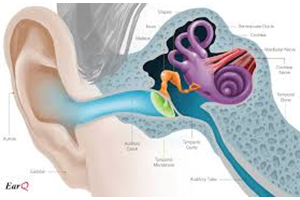 Elektrische schokjes in het oor doen angstklachten afnemen