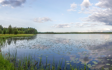 Hoe halen we de psychofarmaca uit het oppervlaktewater?