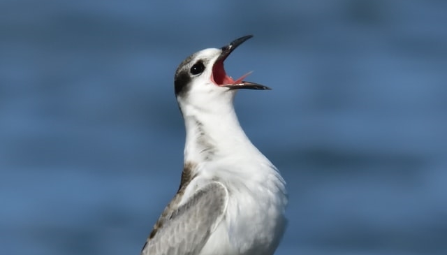 Ik mag niet klagen…