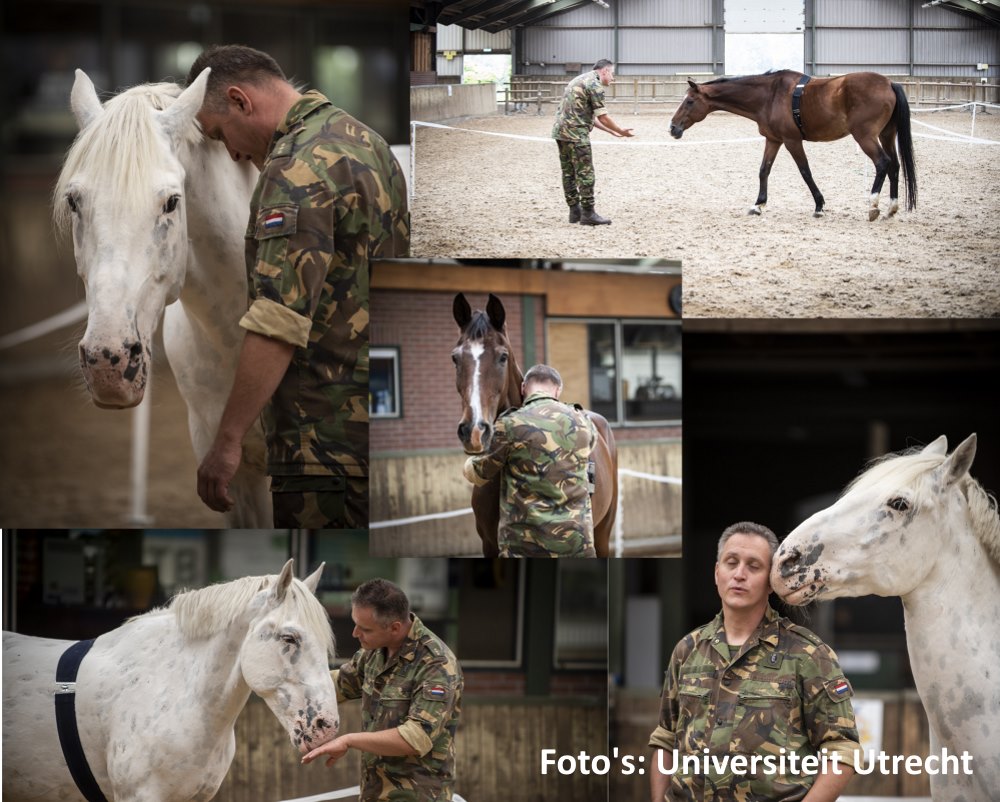 'Therapie met dieren is geen vaag gedoe, maar evidence based behandeling'