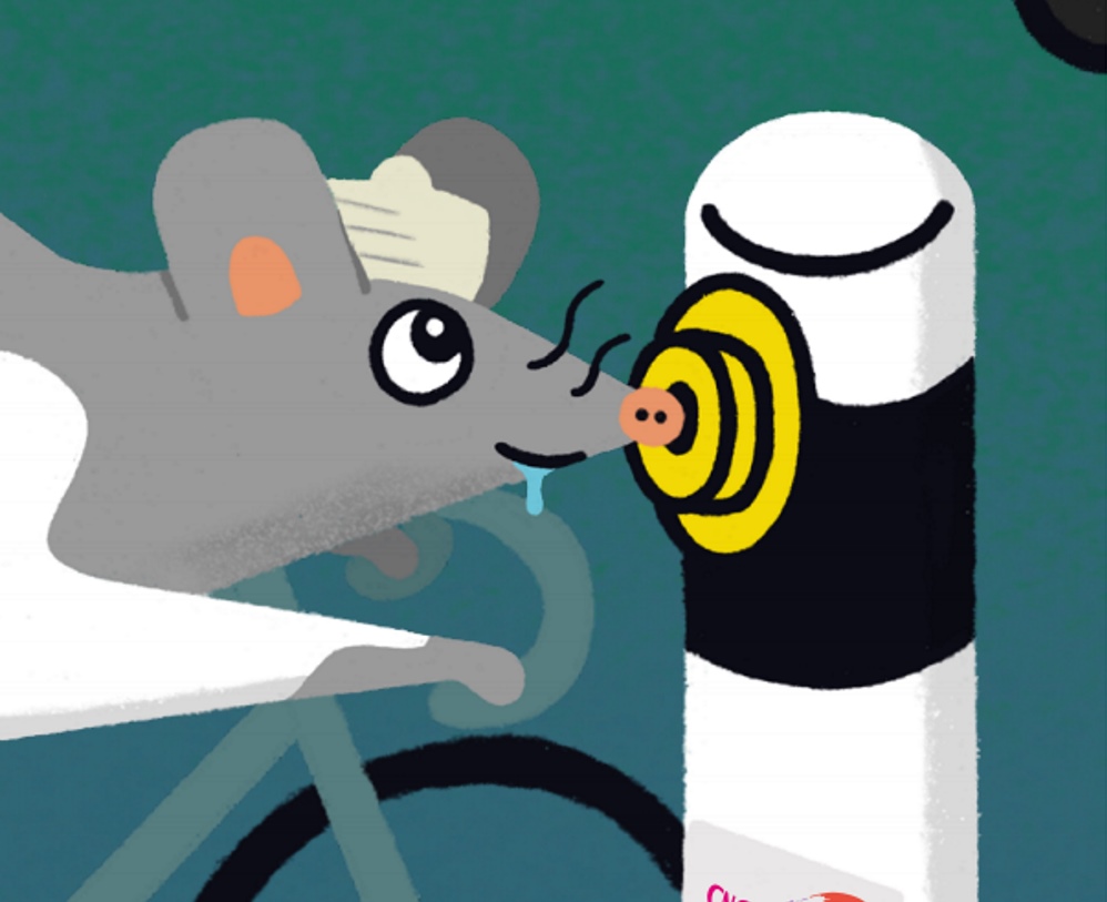 'Hold your horses': hoe de frontale hersenschors ons gedrag controleert