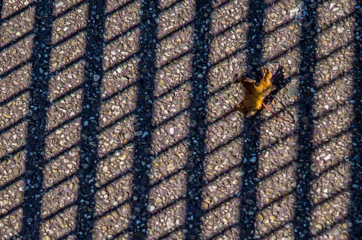 Met een gedicht kom je verder