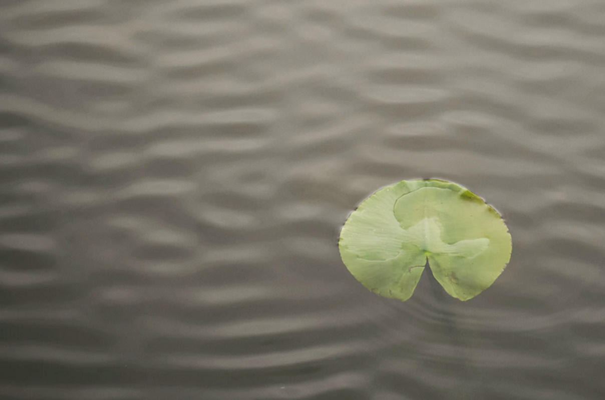 Wat te doen na (poging tot) zelfdoding? Protocol voor MBO-scholen