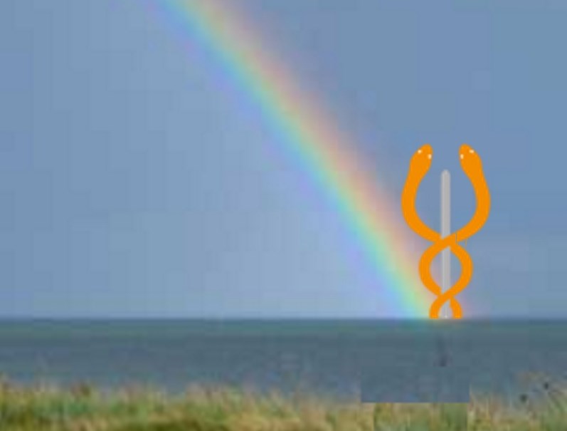 ‘Zingeving is ingewikkelder dan de concrete wetenschap waarin wij zijn opgeleid’