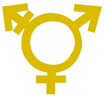 Diagnose en behandeling van psychotische stoornissen teveel gebaseerd op mannen