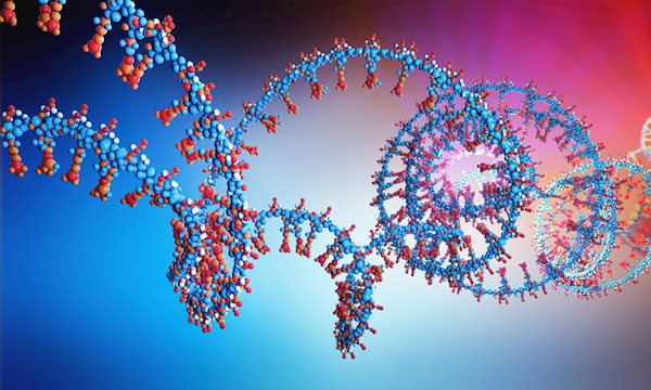 Grote studie naar genetische oorzaken van schizofrenie