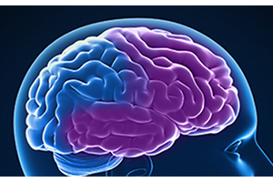 Bloed-hersenbarriére speelt rol bij erfelijke vorm van frontotemporale dementie