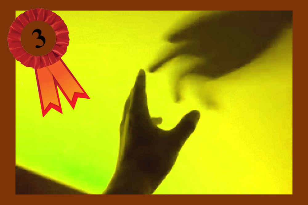 Labelinstructie: Handle with care