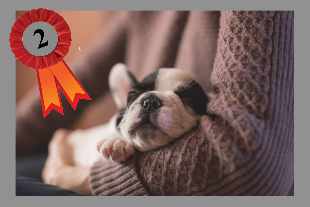 De perfecte nabijheid