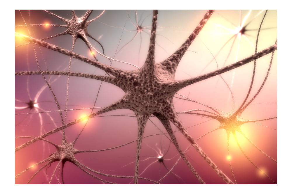 De polyvagaaltheorie, online workshop met Deb Dana