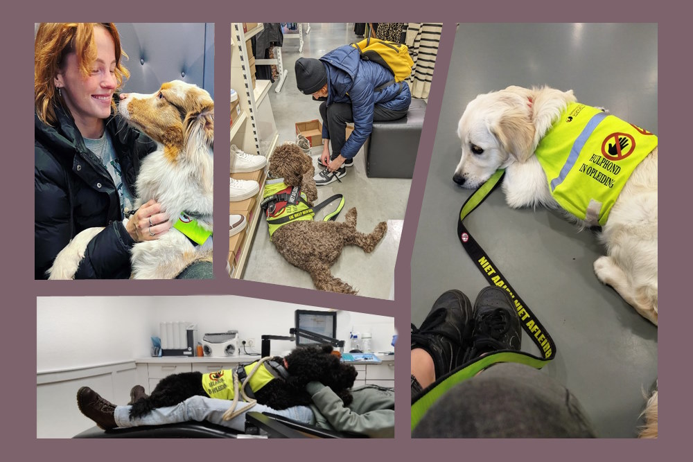 'Hulphond Sanuk bood Karen nabijheid op momenten dat er niemand was'