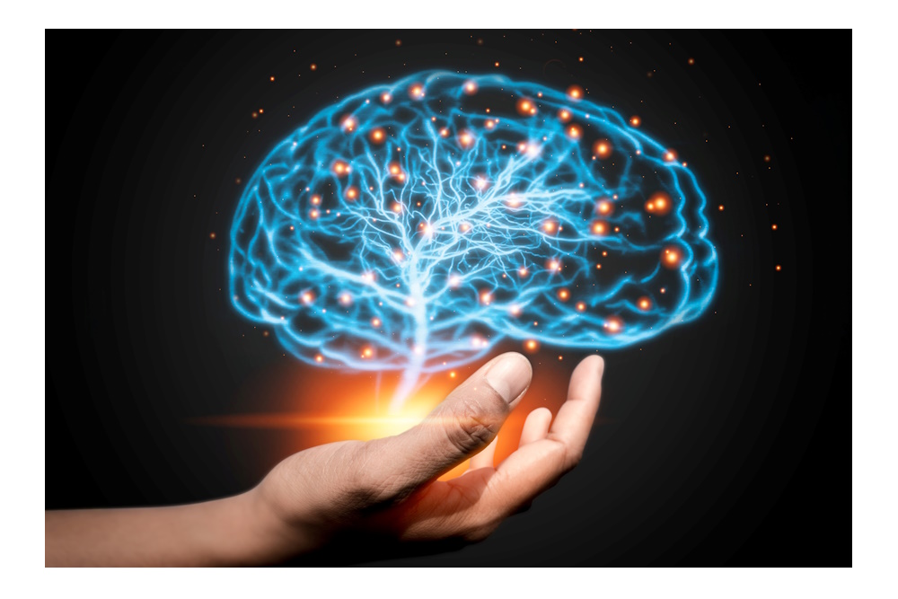 Online workshop over de polyvagaaltheorie, met Deb Dana