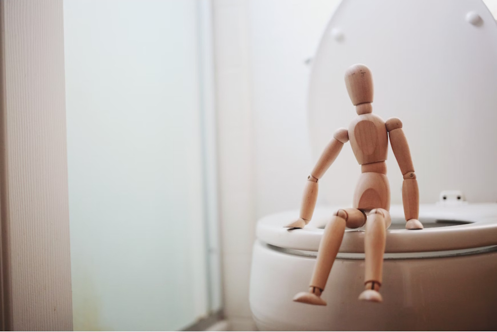 Op zoek naar het verband tussen poep en persoonlijkheid