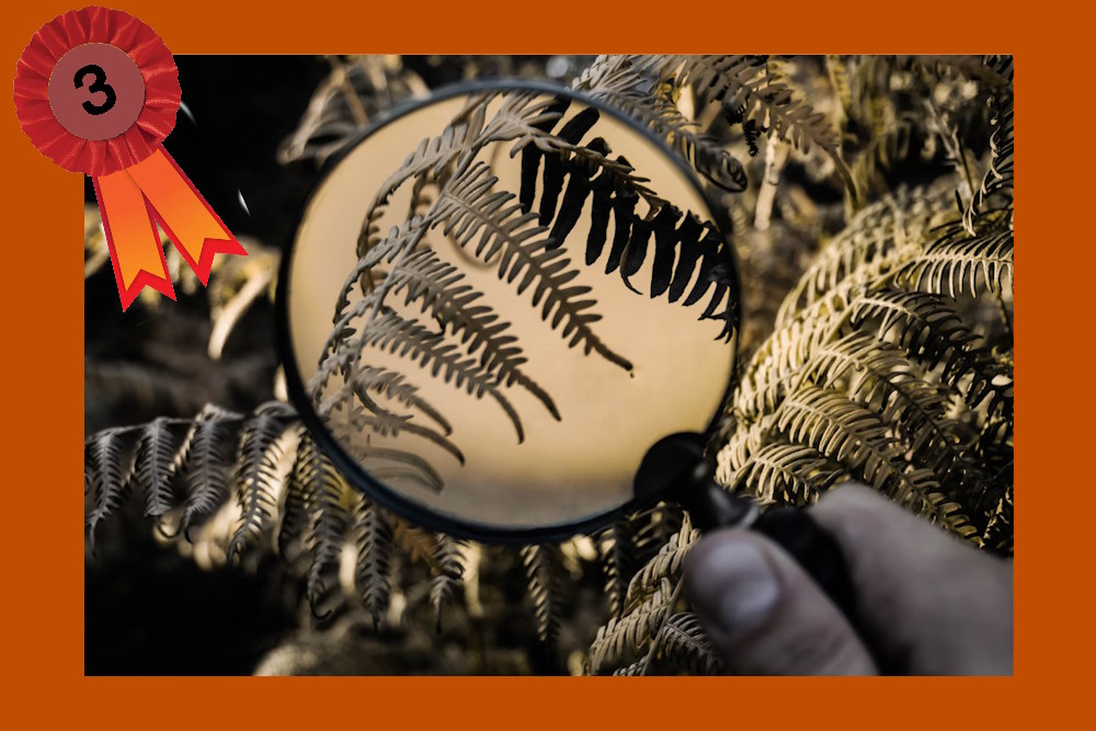 De impact van de 'diagnostische relatie'