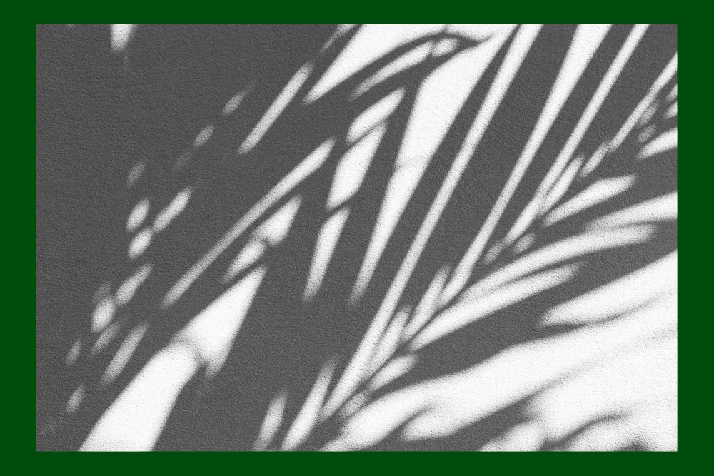 De laatste psychiater