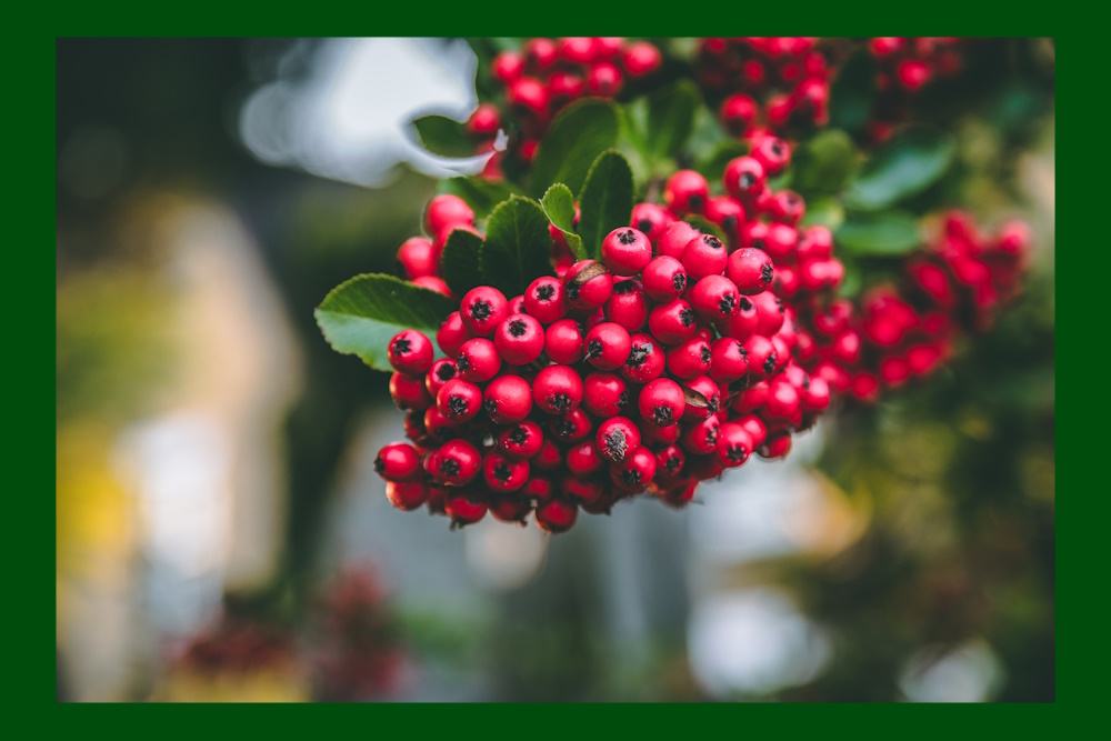 Dans in het avondrood