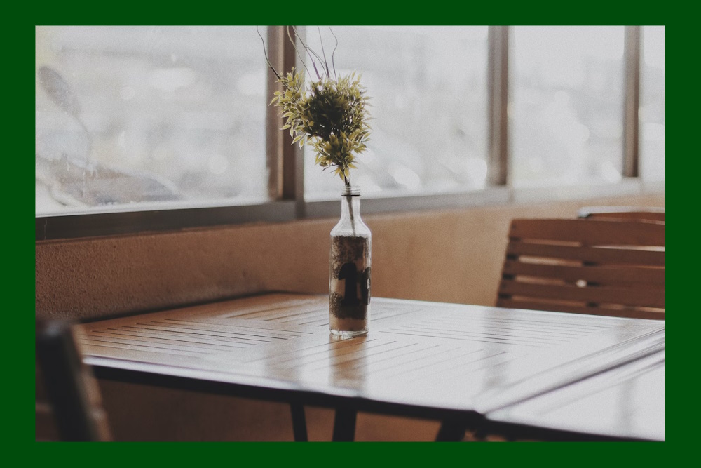 Een onverwachte kater