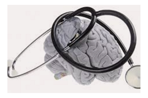 Hersenbank ontvangt 5000e brein voor hersenonderzoek