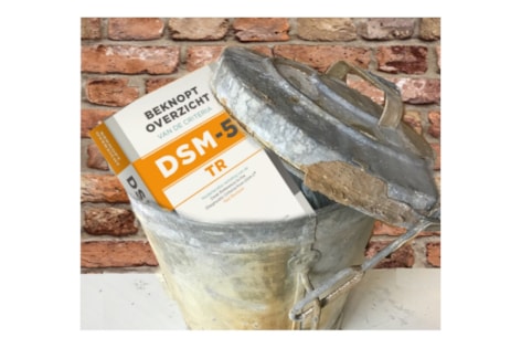 dsm