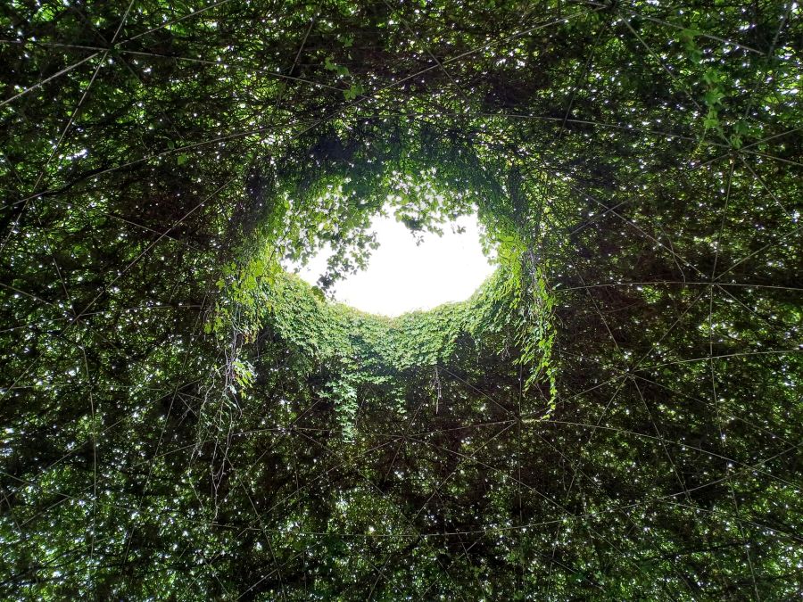 Coöperatie Euthanasiezorg start met twee trajecten