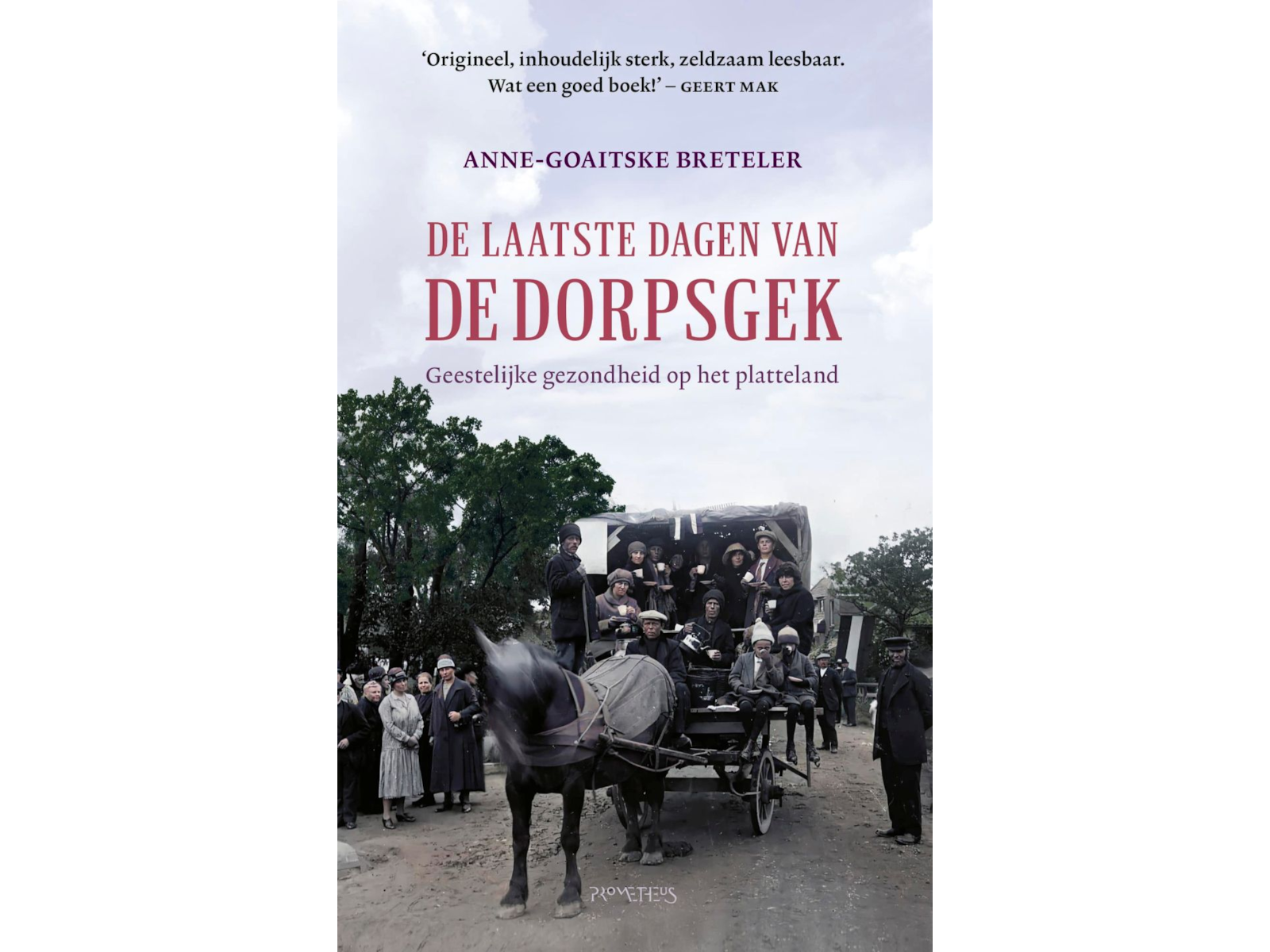 De laatste dagen van de dorpsgek, geestelijke gezondheidszorg op het