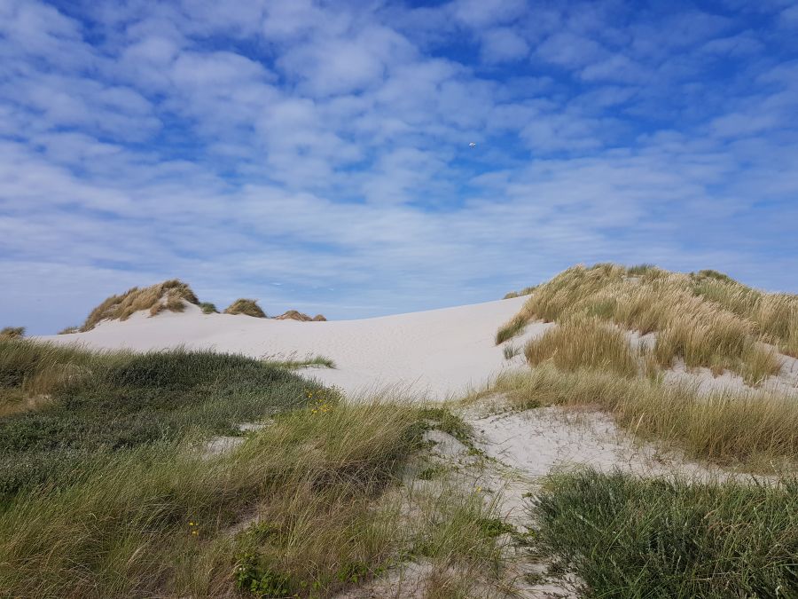Nieuwe toolkit voor groene therapie