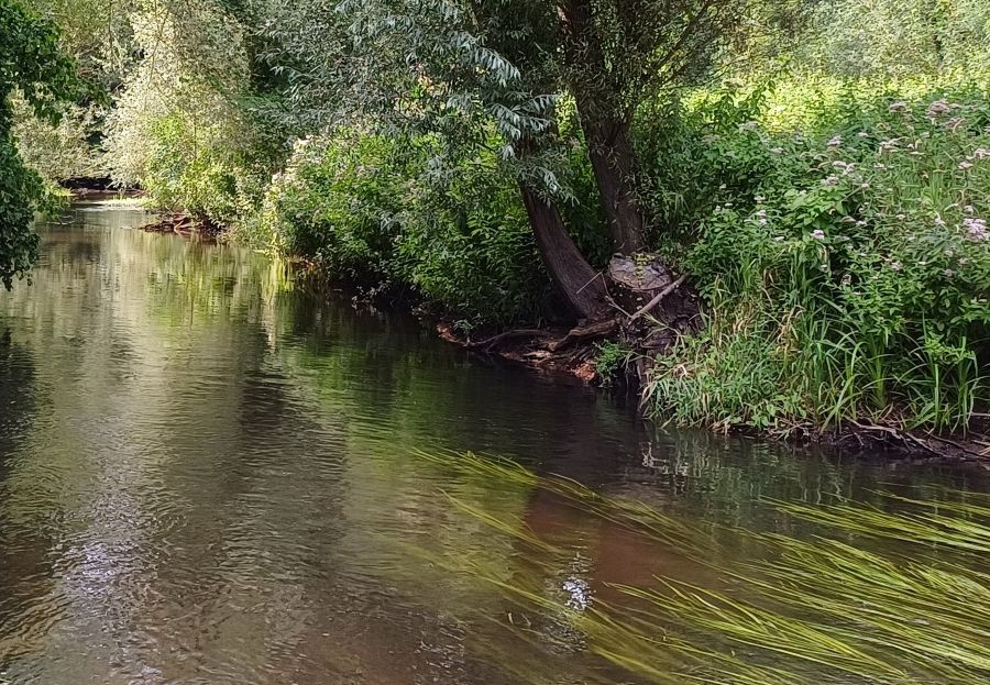 Verloren jachtinstinct