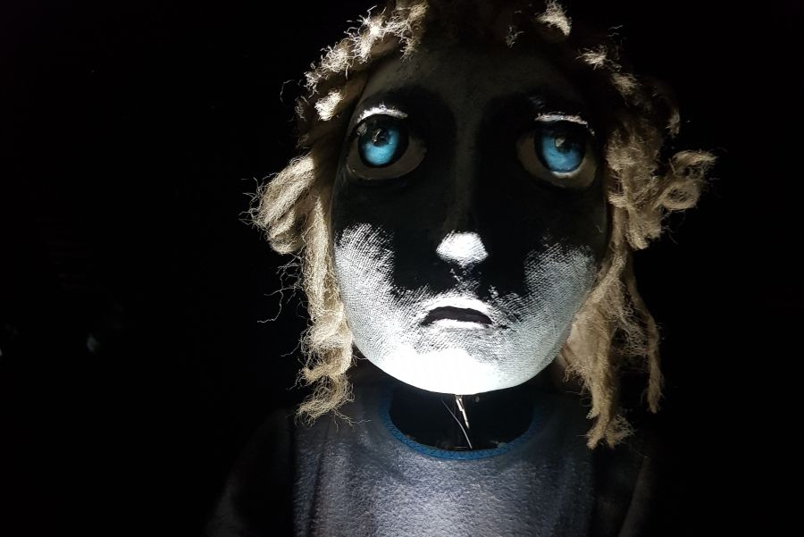 NVvP en KNMG: 'Neem moties over euthanasieverzoeken niet aan'