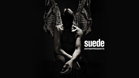 suede