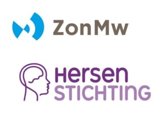 ZonMw-Hersenstichting