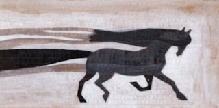 GGZtotaalPaard