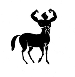 pony (002)